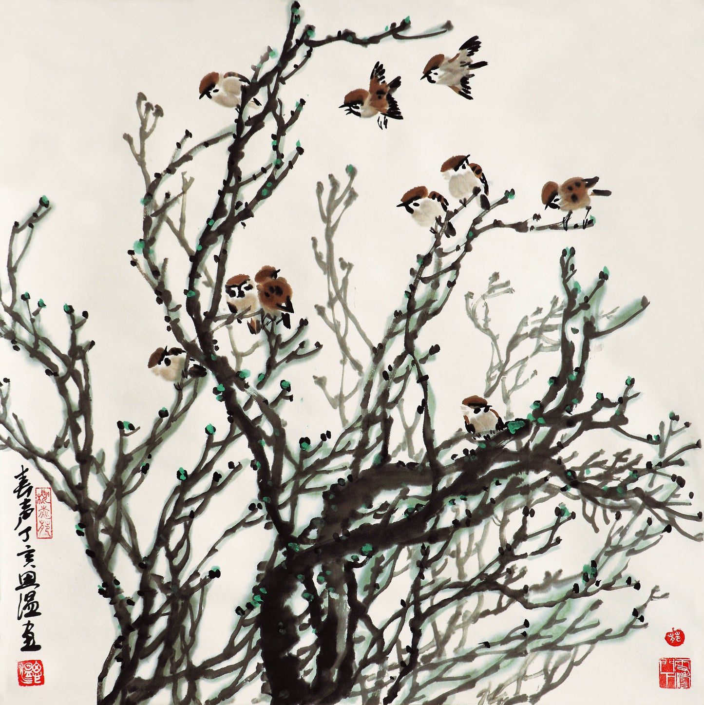 c9春生丁亥年2007