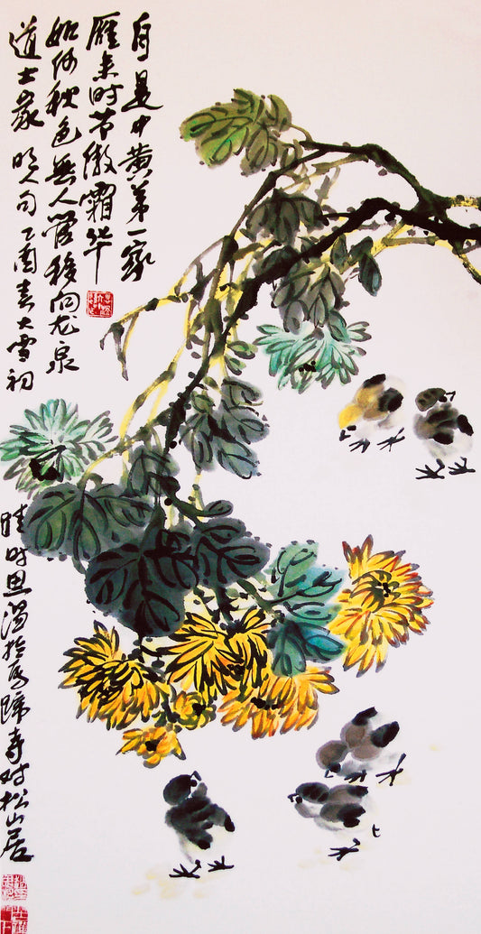 菊花小鸡