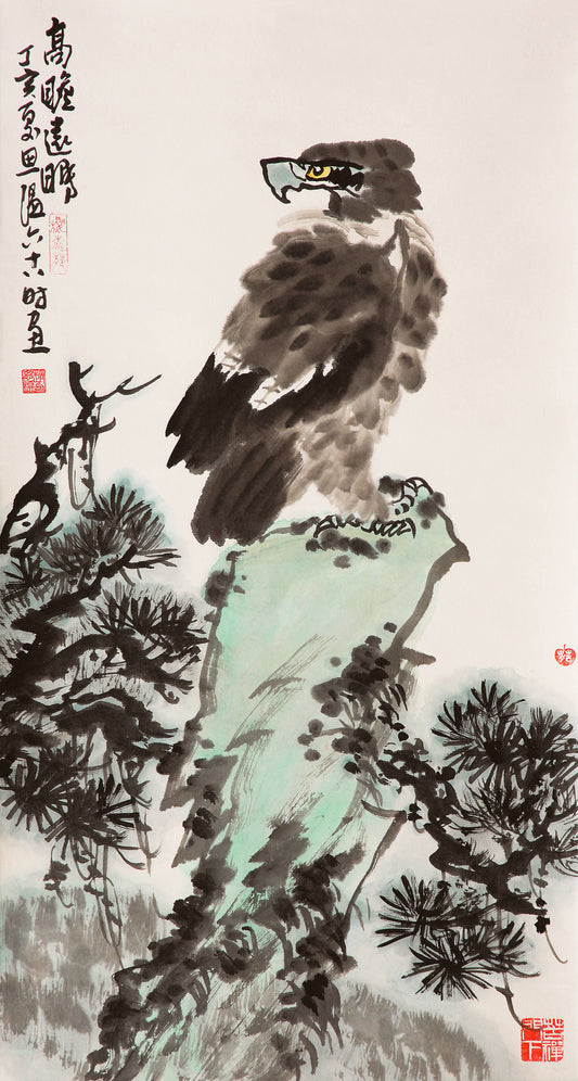 h2高瞻远瞩丁亥年2007