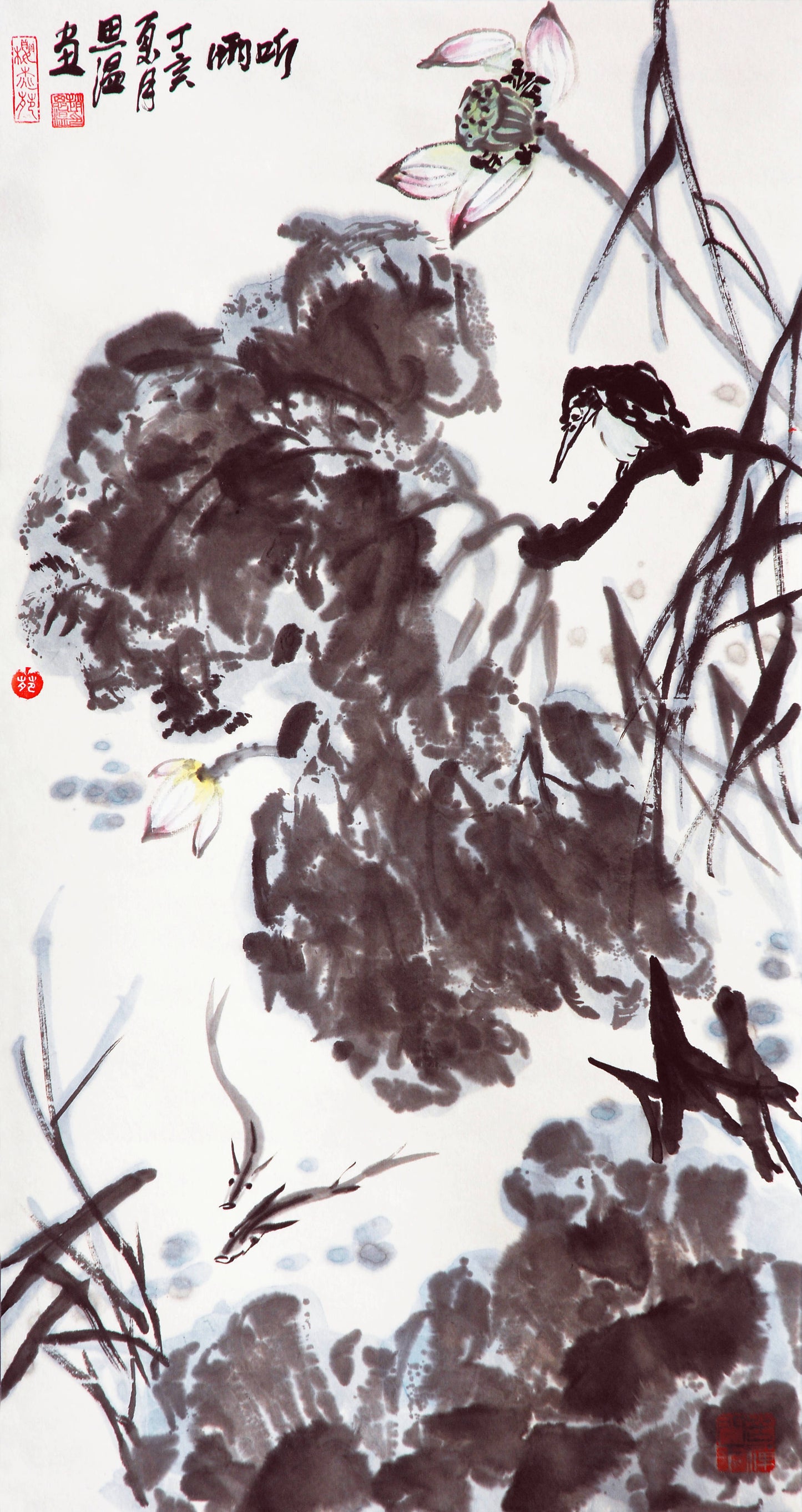 i1听雨丁亥年2007