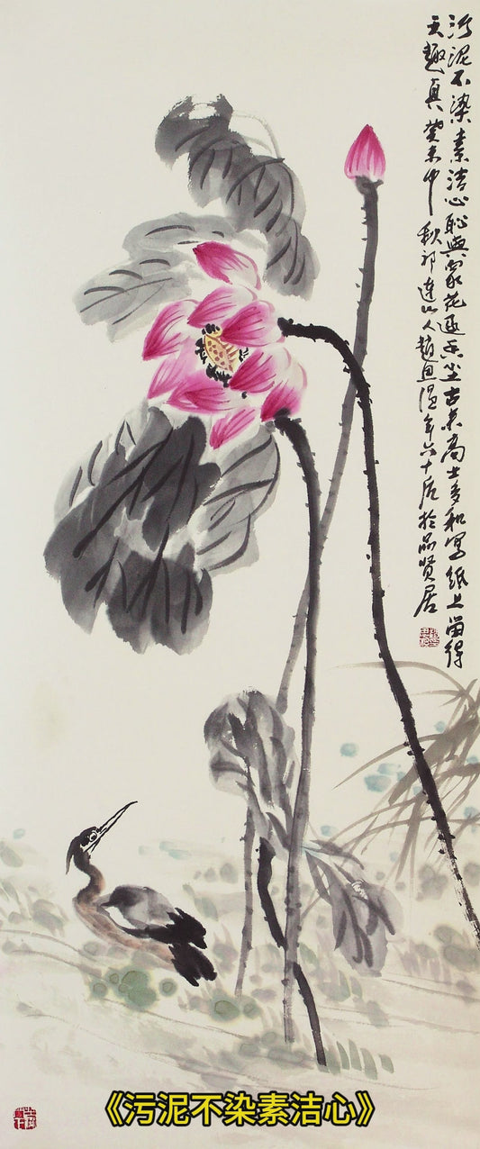 b8污泥不染素洁心葵未年2003